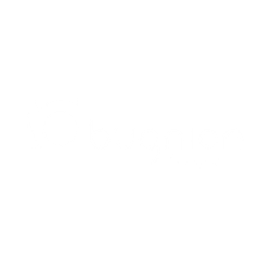 Bugnion